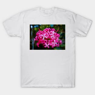 Hot Pink Tropical Cluster T-Shirt